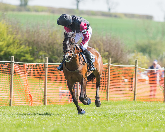 Pony Races-87