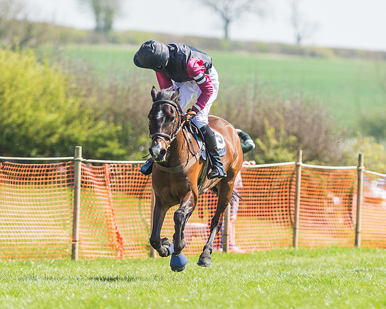 Pony Races-88