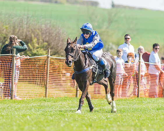 Pony Races-89