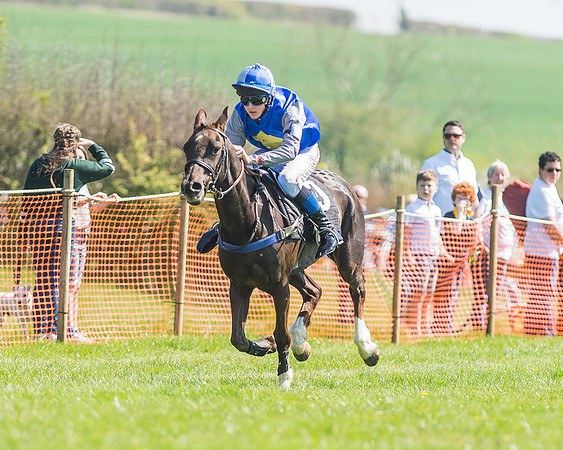 Pony Races-90