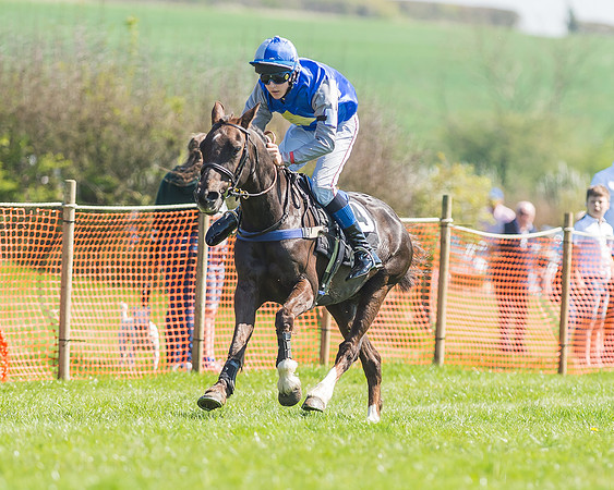 Pony Races-92