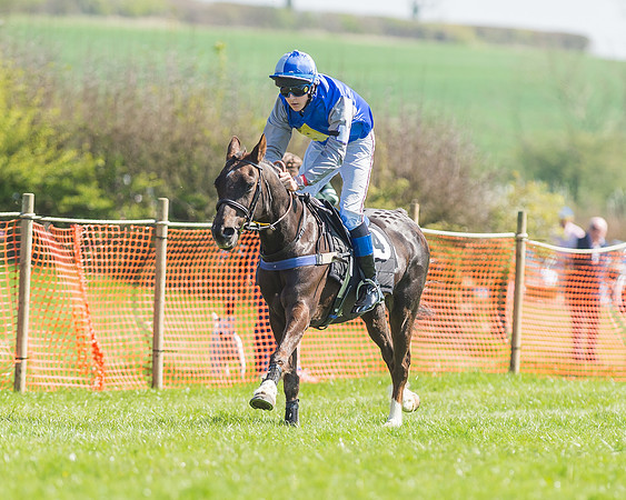 Pony Races-93