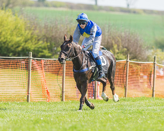 Pony Races-94