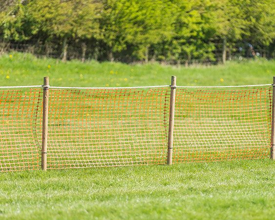 Pony Races-98
