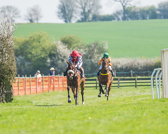 Pony Races-101