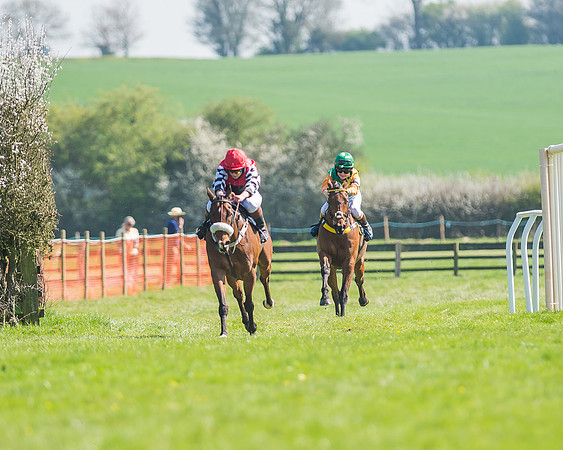 Pony Races-102