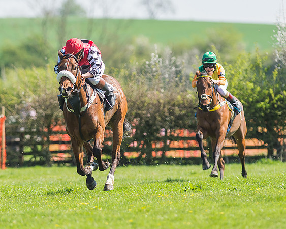 Pony Races-103