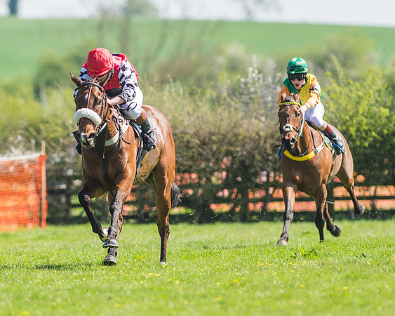 Pony Races-104