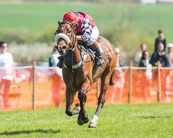 Pony Races-106
