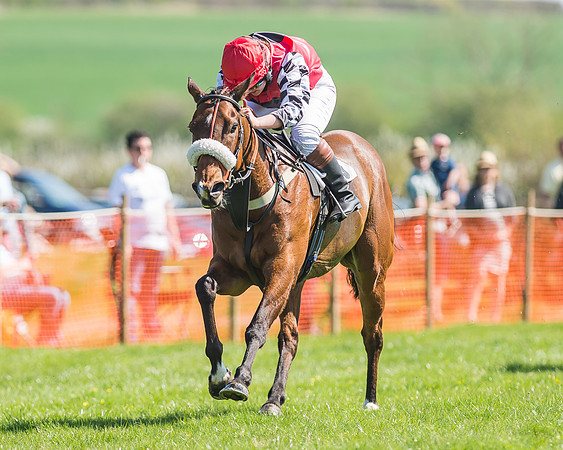 Pony Races-107