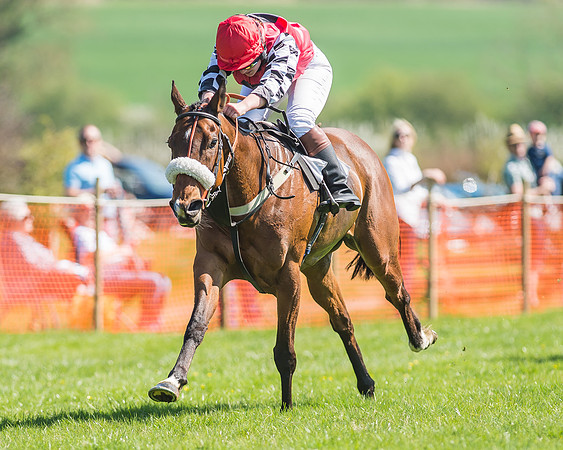 Pony Races-108