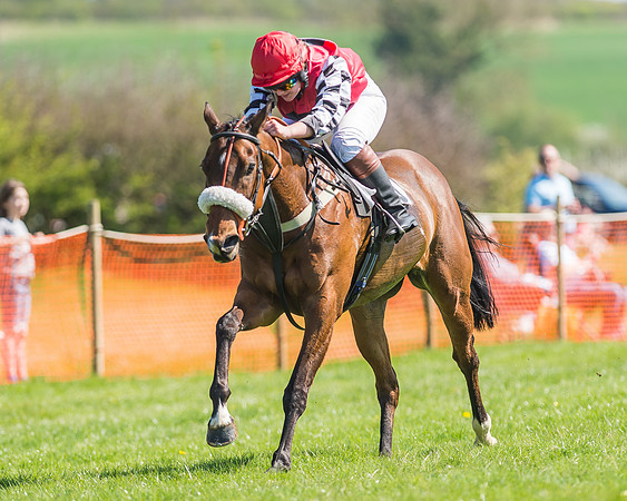 Pony Races-109
