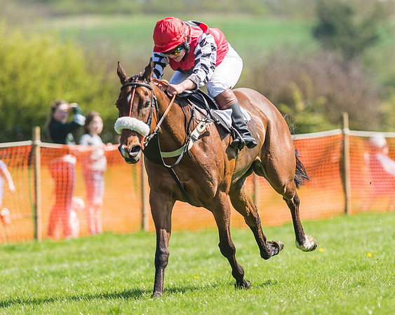 Pony Races-110