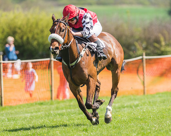Pony Races-111