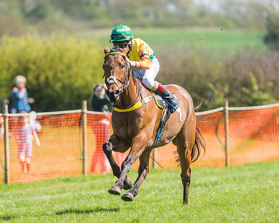 Pony Races-112