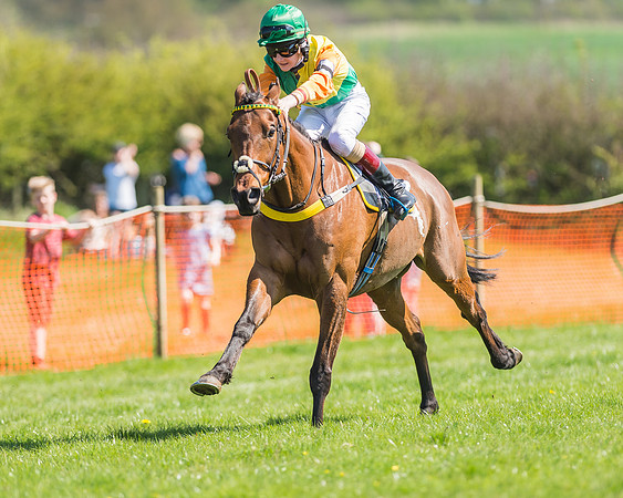 Pony Races-113
