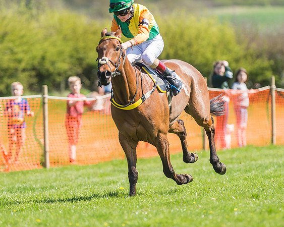 Pony Races-114