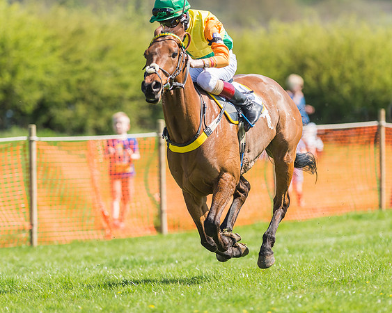 Pony Races-115