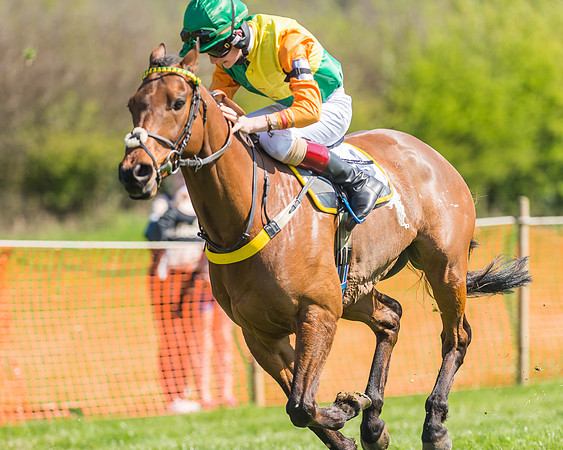 Pony Races-116