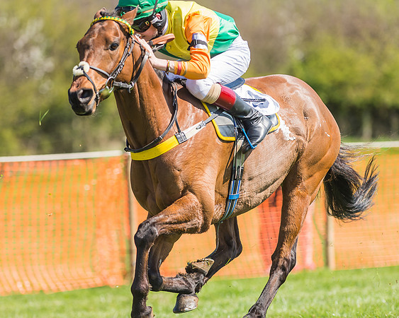 Pony Races-117
