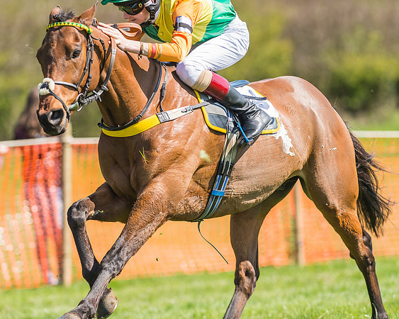 Pony Races-118