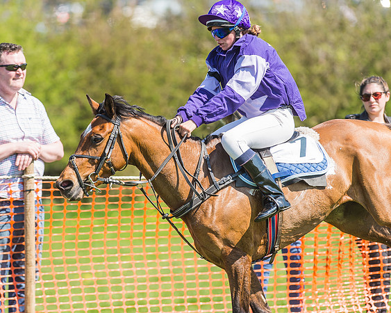 Pony Races-124