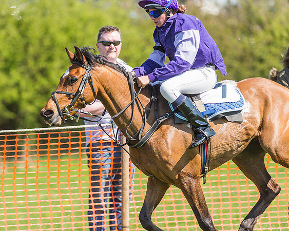 Pony Races-125