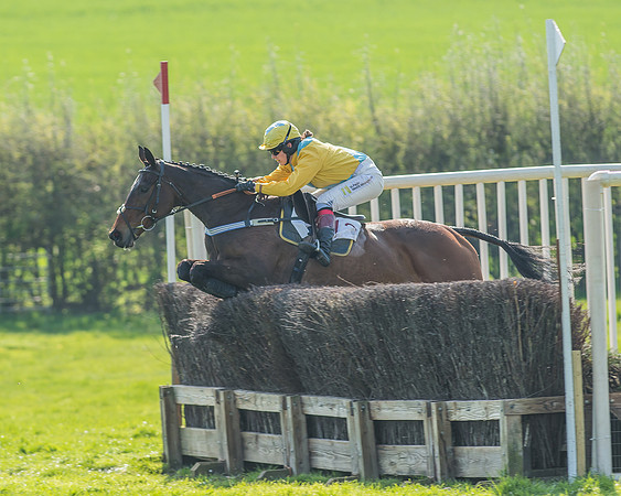 Race 3 - Ladies Open-66