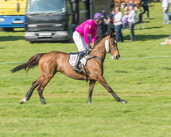 Race 5 - Restricted Race-1