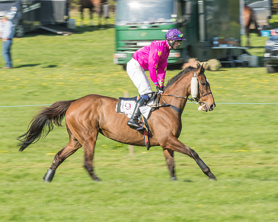 Race 5 - Restricted Race-2