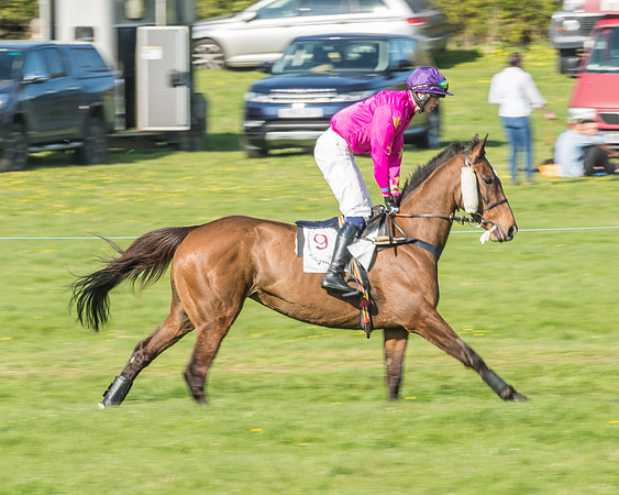 Race 5 - Restricted Race-3
