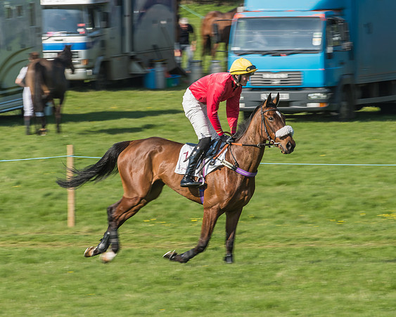 Race 5 - Restricted Race-4
