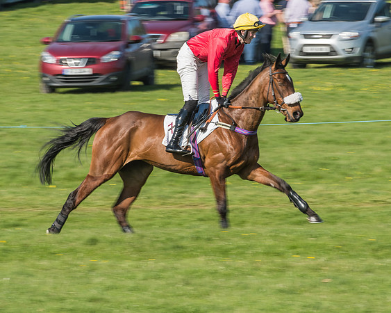 Race 5 - Restricted Race-6