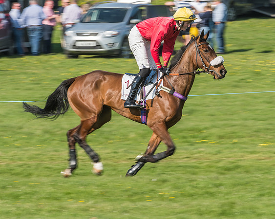 Race 5 - Restricted Race-7