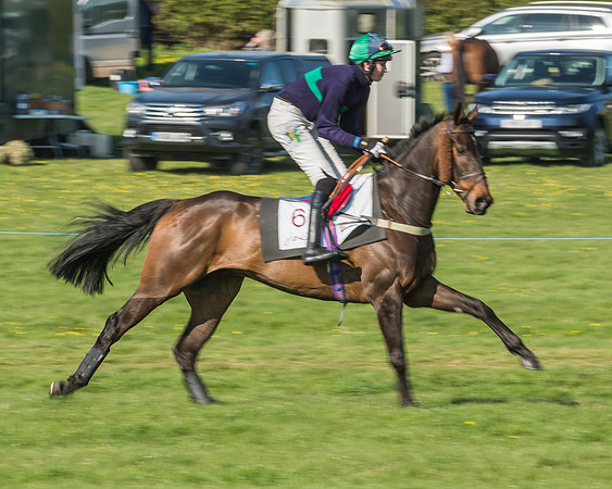 Race 5 - Restricted Race-8