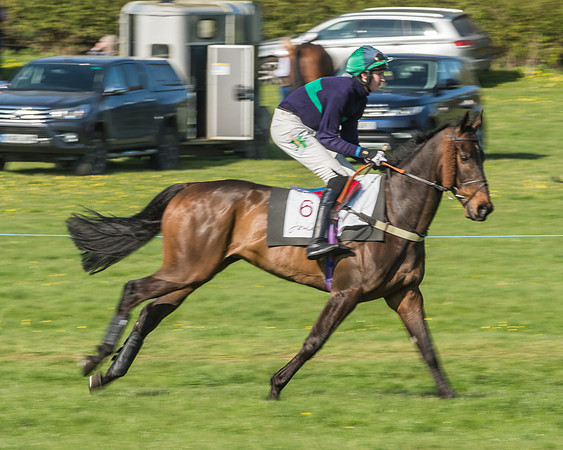 Race 5 - Restricted Race-9