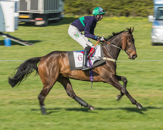Race 5 - Restricted Race-10