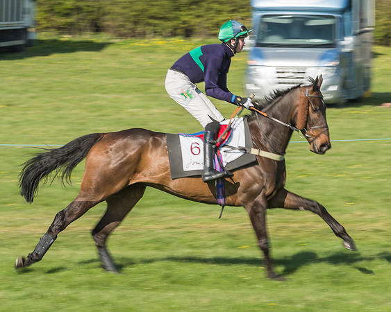 Race 5 - Restricted Race-11