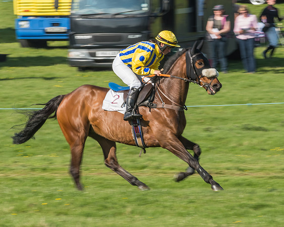 Race 5 - Restricted Race-12