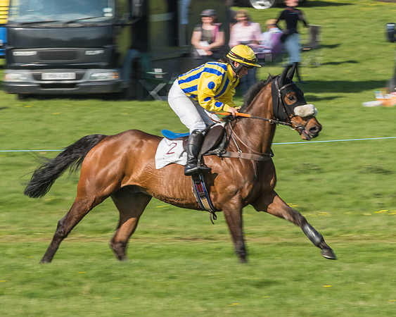 Race 5 - Restricted Race-13