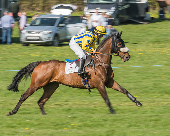 Race 5 - Restricted Race-14