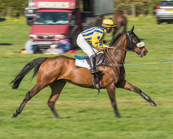 Race 5 - Restricted Race-15