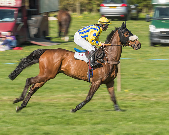 Race 5 - Restricted Race-16