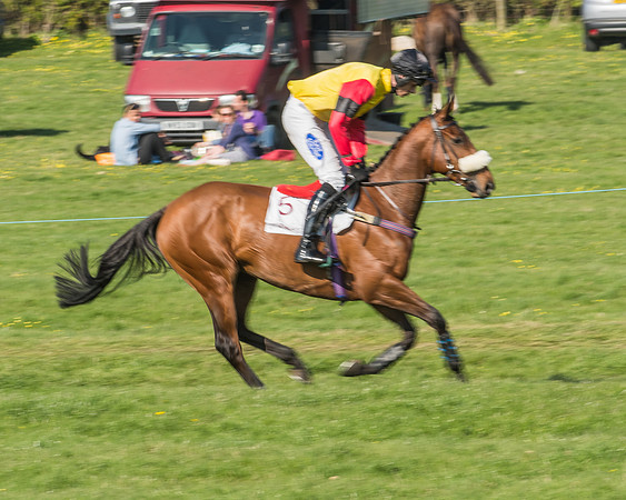 Race 5 - Restricted Race-17