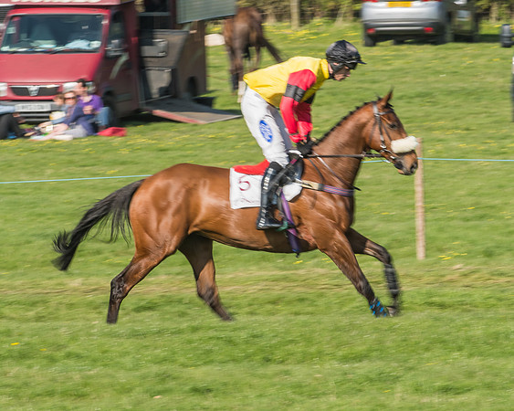 Race 5 - Restricted Race-18