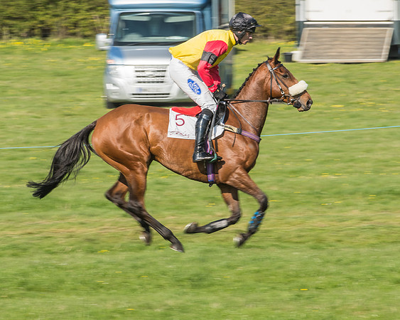 Race 5 - Restricted Race-19