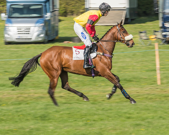 Race 5 - Restricted Race-20