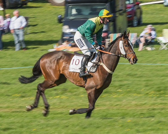 Race 5 - Restricted Race-21