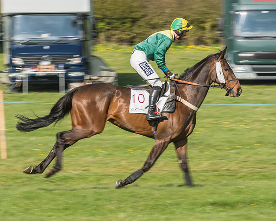 Race 5 - Restricted Race-25