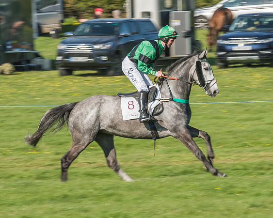 Race 5 - Restricted Race-26